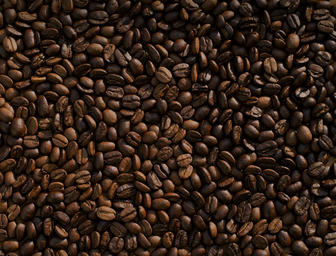 Coffee cherries