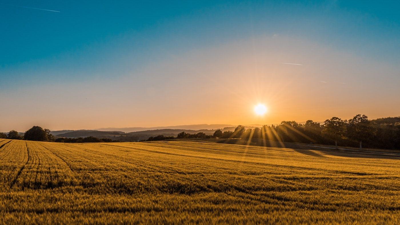 Farm landscape
