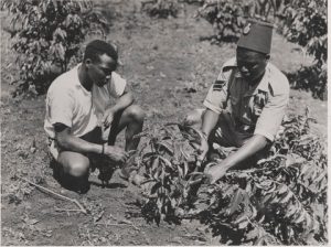 Early days of the cooperative